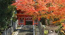 金刀比羅神社