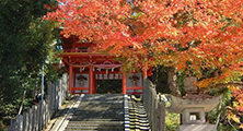 金刀比羅神社