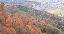 崇山森林公園　紅葉